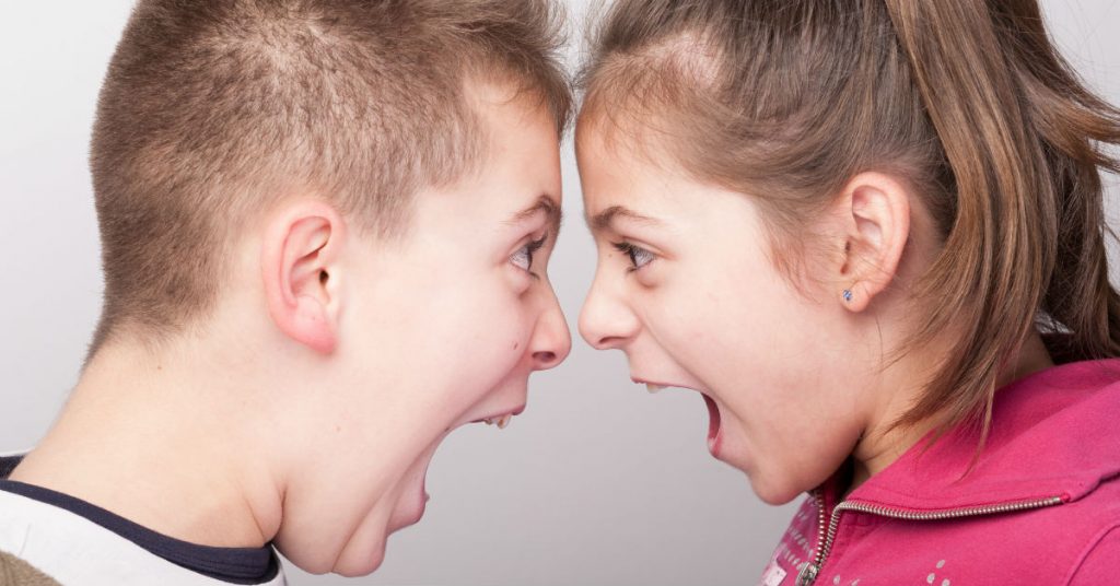 Sibling Rivalry Put To Good Use In Your Home